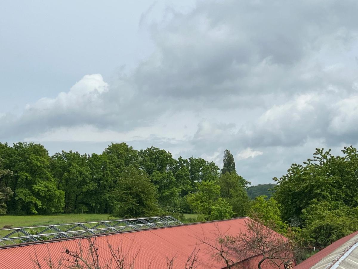 Monstera I Lägenhet Kolín Exteriör bild