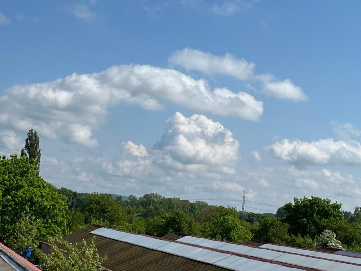 Monstera I Lägenhet Kolín Exteriör bild
