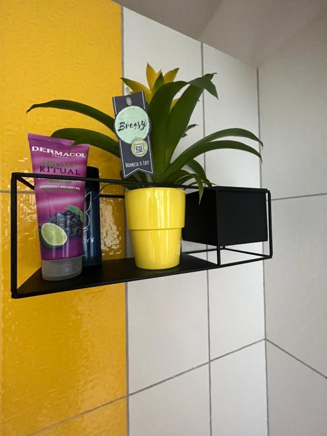 Monstera I Lägenhet Kolín Exteriör bild
