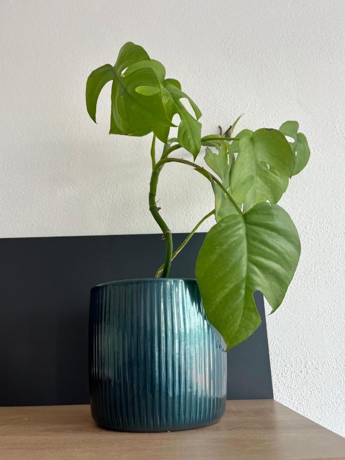 Monstera I Lägenhet Kolín Exteriör bild